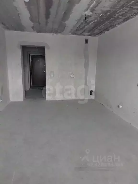 Студия Амурская область, Благовещенский район, с. Чигири ул. ... - Фото 1