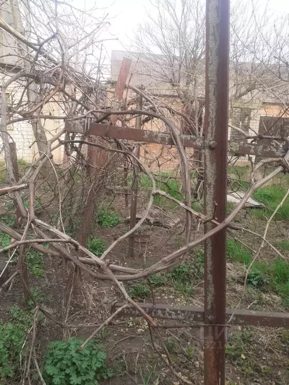Участок в Ростовская область, Ростов-на-Дону Аксаец садовое ... - Фото 1