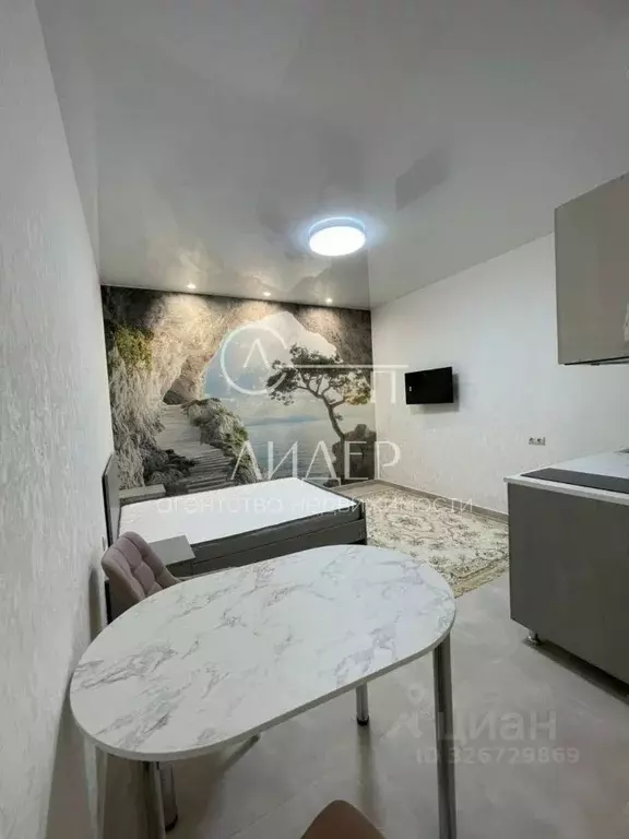 Студия Краснодарский край, Сочи ул. Ленина (17.0 м) - Фото 1