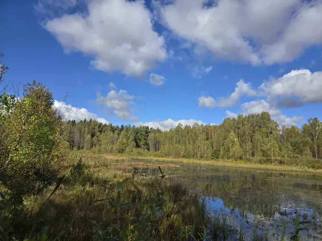 Участок в Тверская область, Калининский муниципальный округ, д. ... - Фото 2