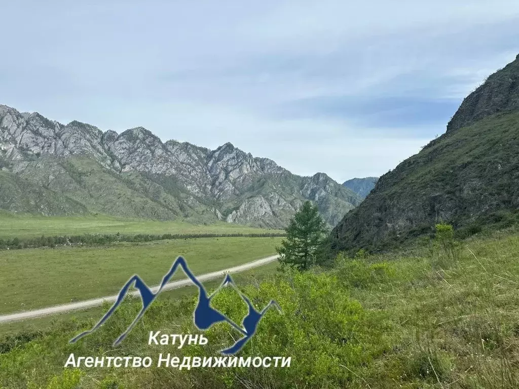 Участок в Алтай, Чемальский район, с. Куюс Центральная ул. (12.05 ... - Фото 1