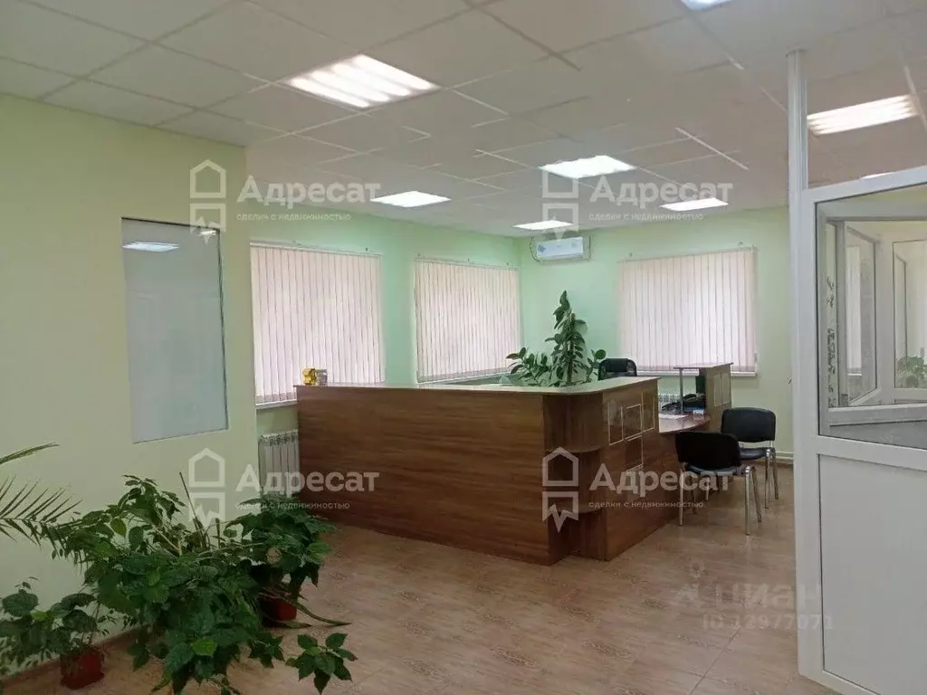 Офис в Волгоградская область, Светлый Яр рп, 1-й мкр  (65 м) - Фото 1