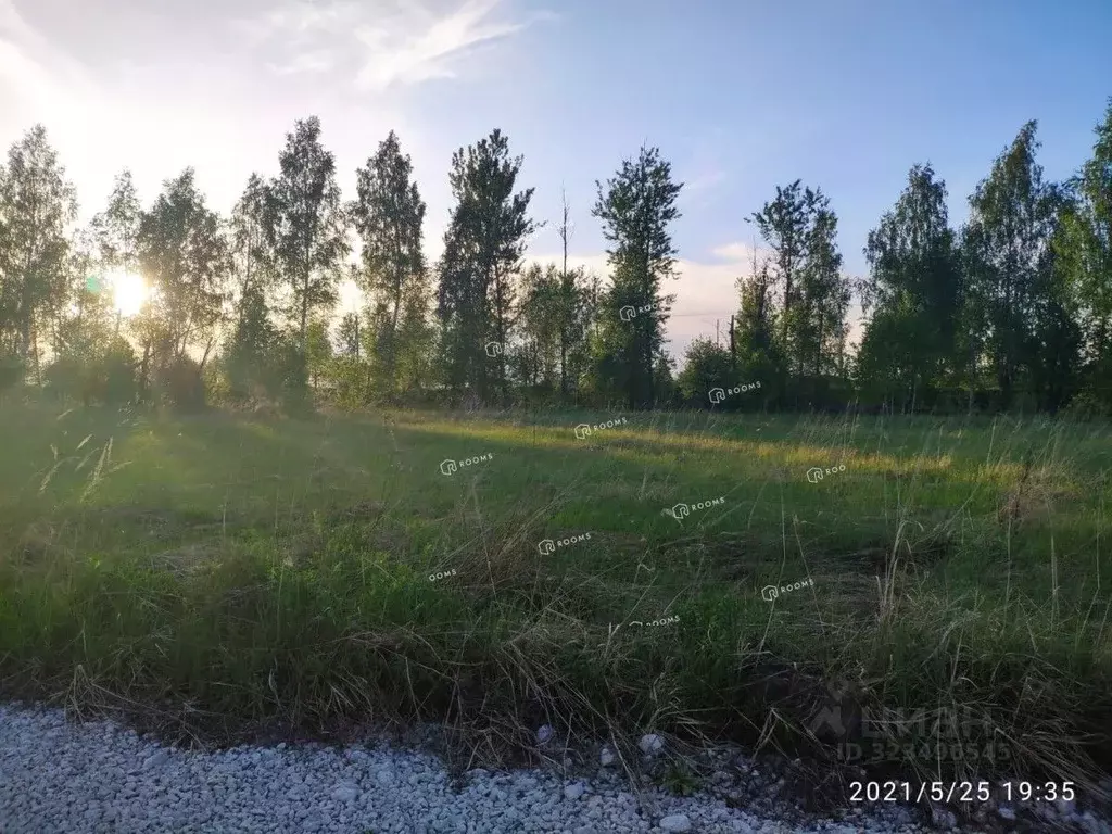 Участок в Тульская область, Тула городской округ, д. Кудрино  (14.15 ... - Фото 1