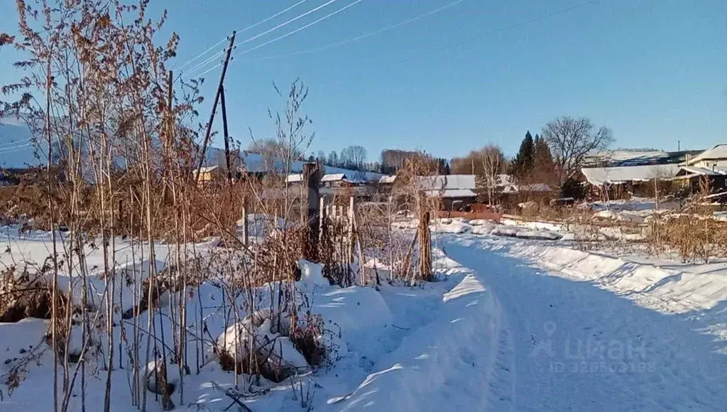 Участок в Алтайский край, Алтайский район, с. Нижнекаянча ул. Школьная ... - Фото 1
