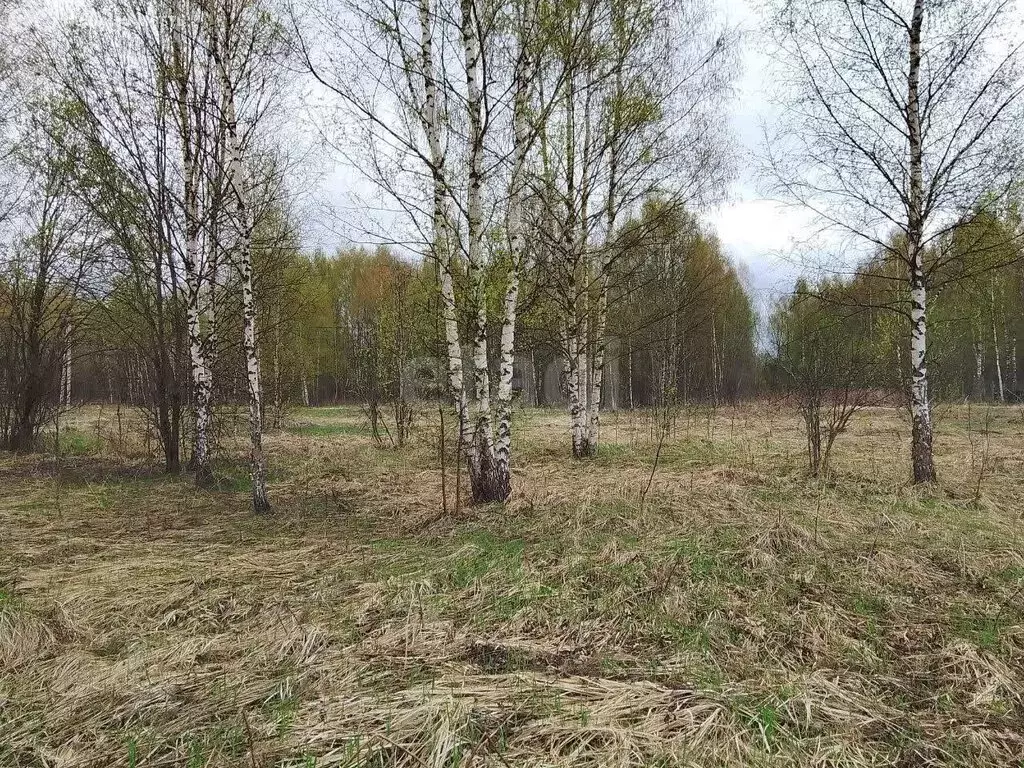 Участок в Тверская область, Калининский муниципальный округ, деревня ... - Фото 2