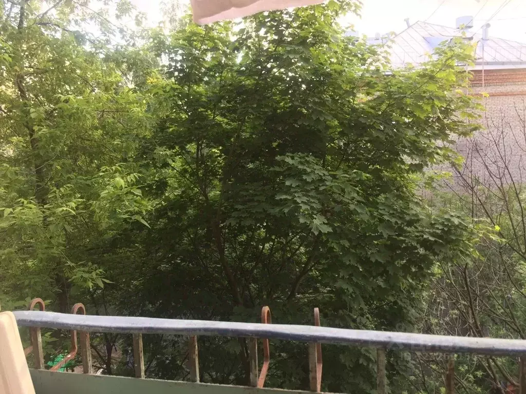 Комната Москва Окружной проезд, 24 (16.9 м) - Фото 1