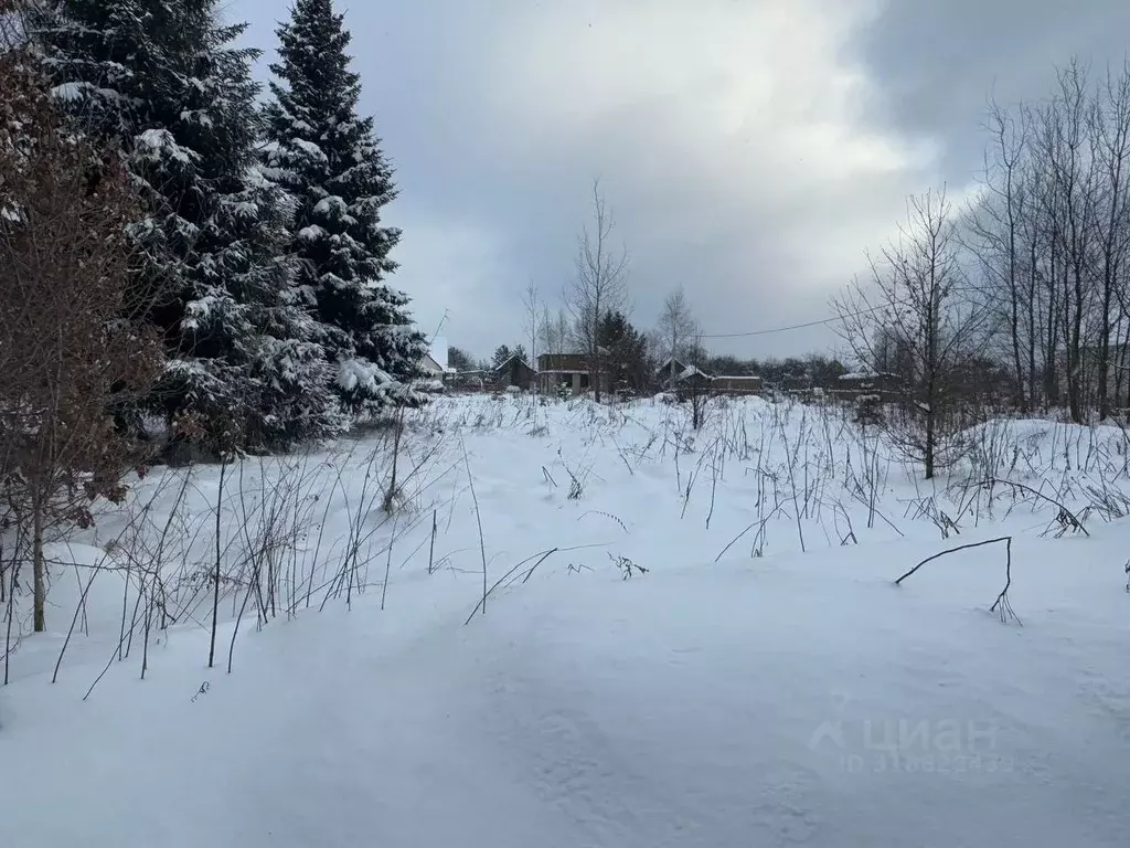 Участок в Московская область, Солнечногорск городской округ, д. ... - Фото 0