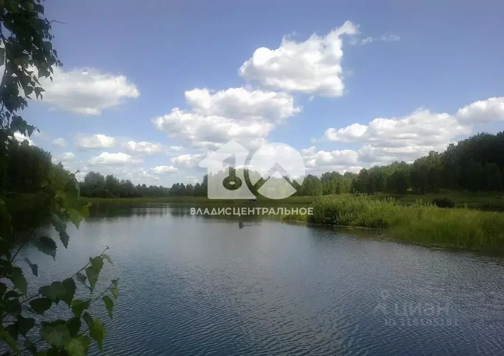 Дом в Новосибирская область, Новосибирский район, Станционный ... - Фото 0
