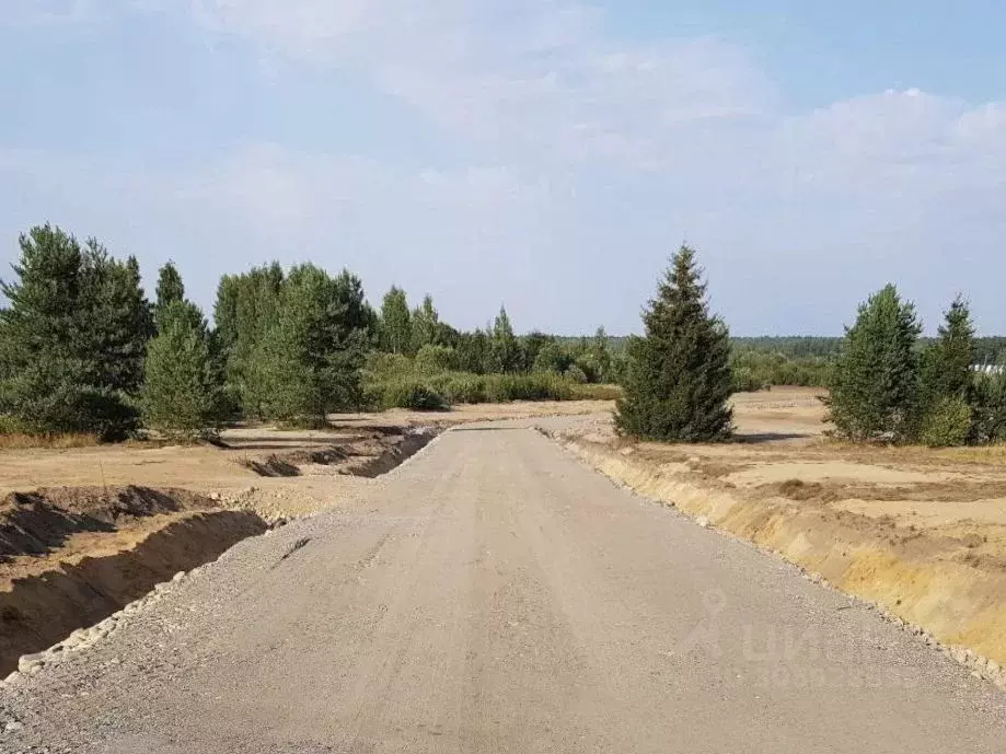 участок в ленинградская область, приозерский район, запорожское с/пос, . - Фото 0