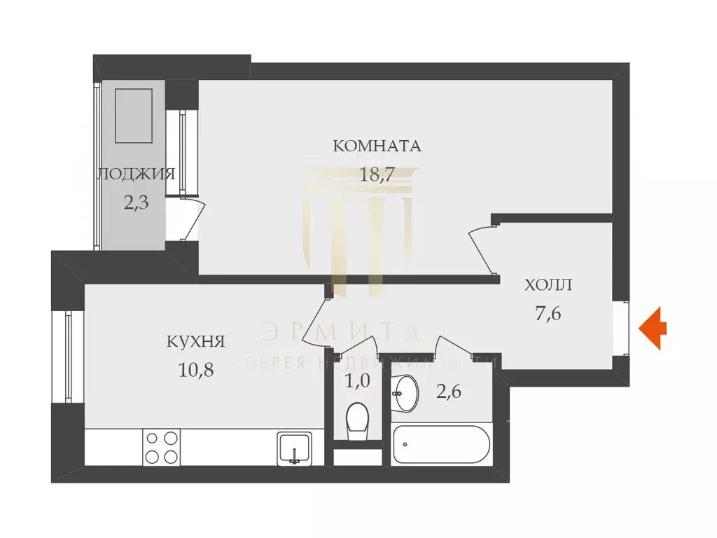 1-к кв. Санкт-Петербург пос. Шушары, Пушкинская ул., 50 (40.7 м) - Фото 2