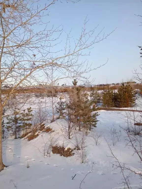 Участок в Забайкальский край, Читинский район, с. Смоленка  (6.0 сот.) - Фото 1