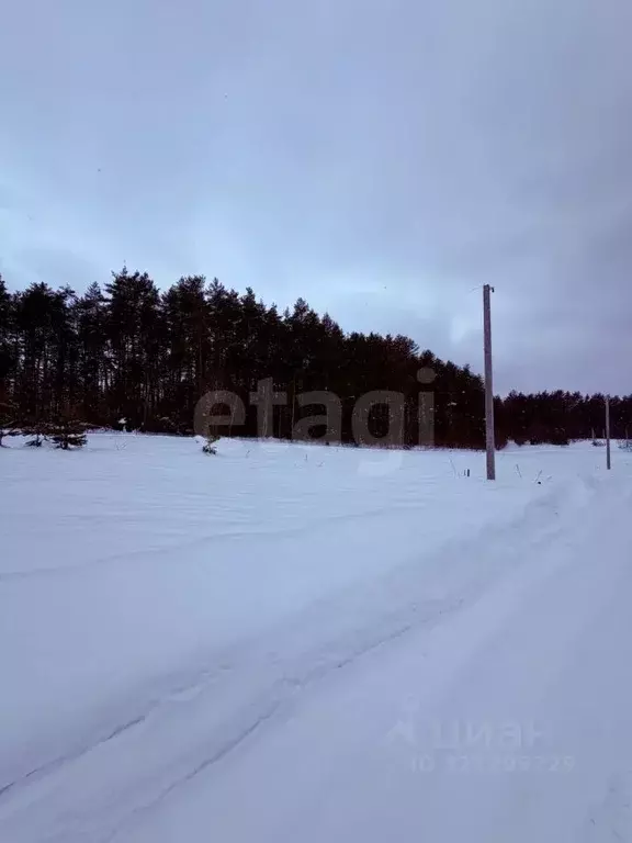 Участок в Калужская область, Боровск Бора-Боровск форестлейк кп,  ... - Фото 2
