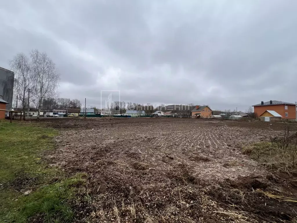 Участок в Владимирская область, Суздальский район, Новоалександровское ... - Фото 2