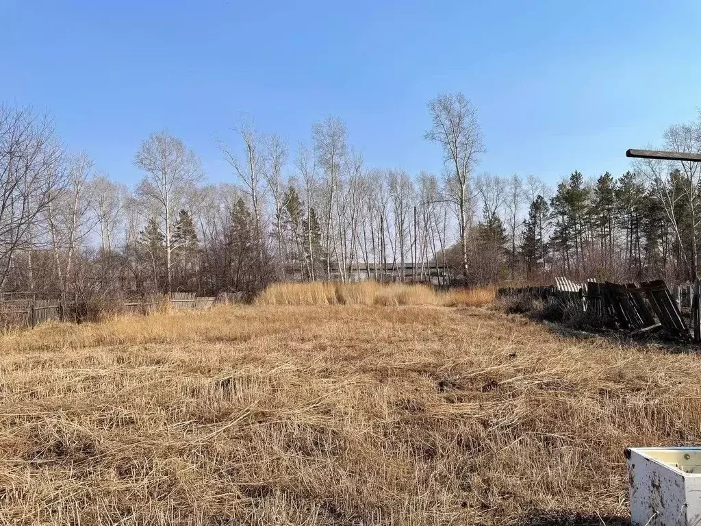 Участок в Амурская область, с. Тамбовка  (7.2 сот.) - Фото 2