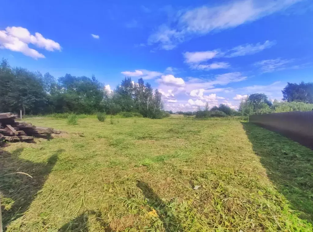 Участок в Санкт-Петербург пос. Шушары, ул. Новая, 6 (19.6 сот.) - Фото 0