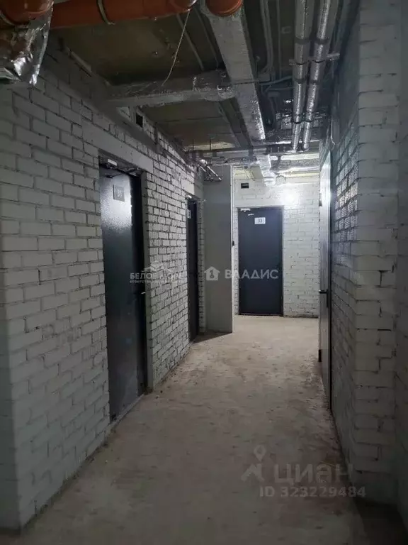 Гараж в Архангельская область, Архангельск Аквилон Роса жилой комплекс ... - Фото 2