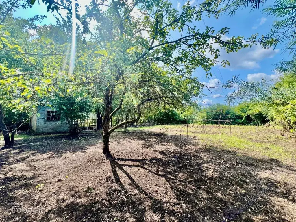 Участок в Брянская область, Брянск Десна-2 садовое общество,  (6.86 ... - Фото 2