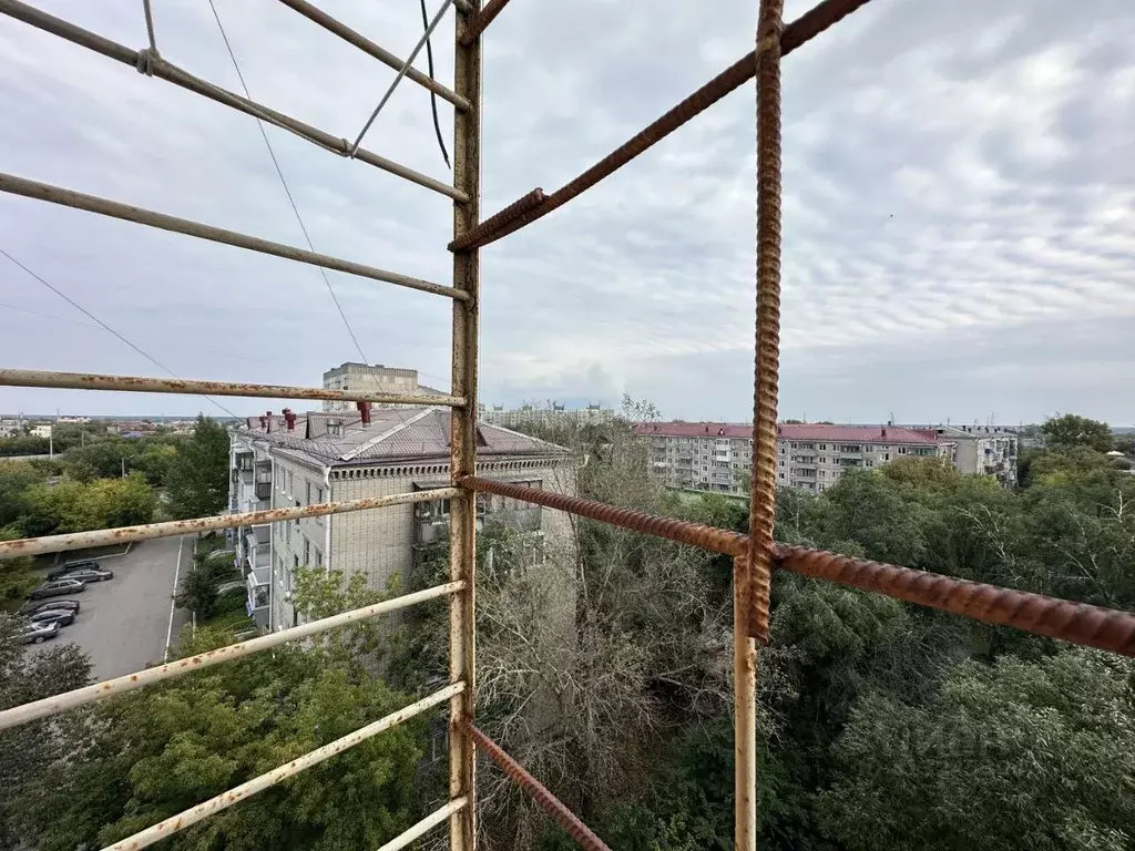 Студия Курганская область, Курган Половинская ул., 8Б (14.3 м) - Фото 1