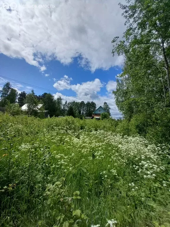 Участок в Нижнеивкинское городское поселение (13 м) - Фото 2