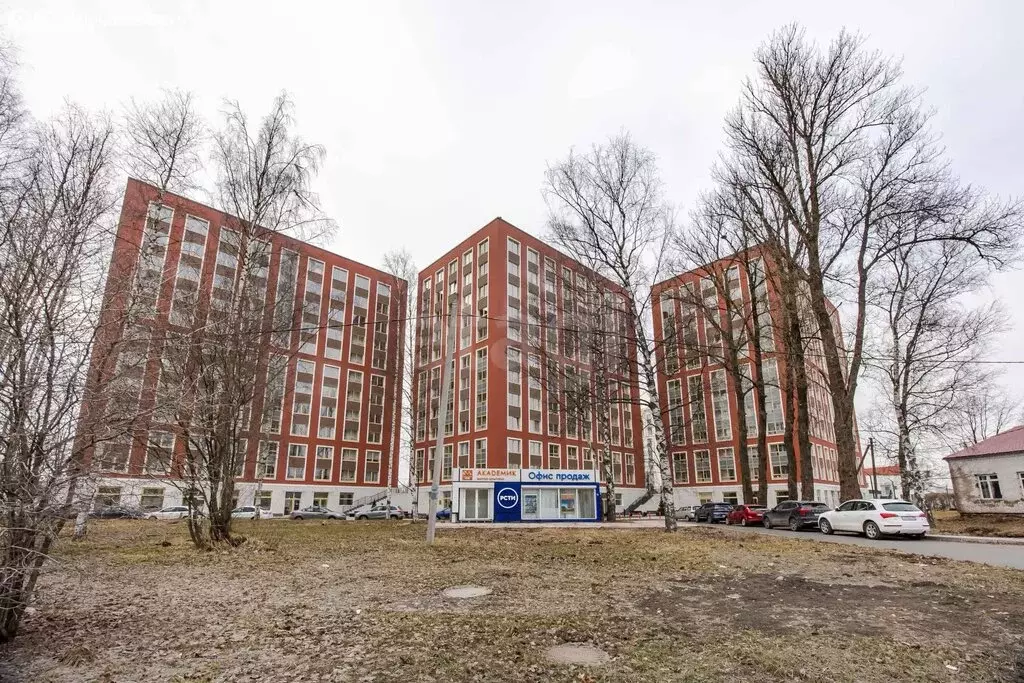 Квартира-студия: Санкт-Петербург, Пискарёвский проспект, 142к1 (21.6 ... - Фото 2