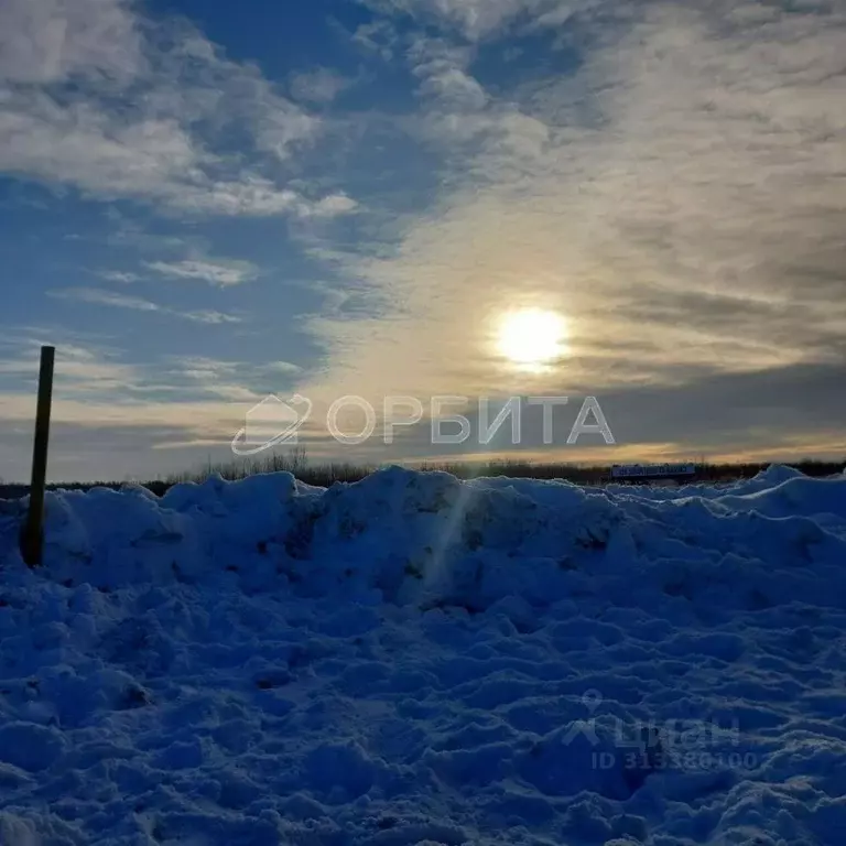 Участок в Тюменская область, Тюменский район, с. Щербак  (5.25 сот.) - Фото 0