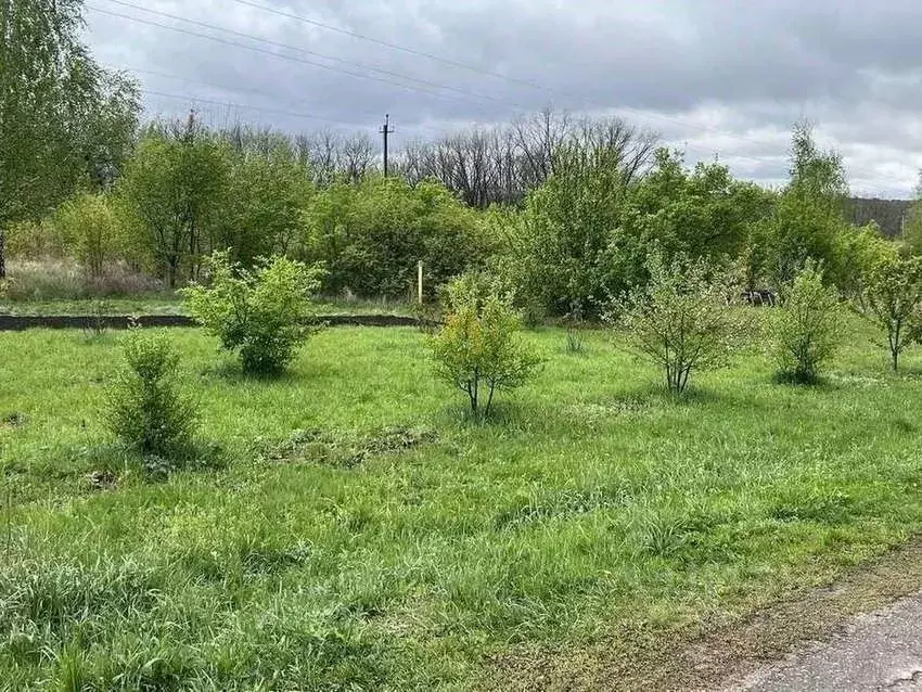 Участок в Белгородская область, Белгородский район, Тавровское с/пос, ... - Фото 2