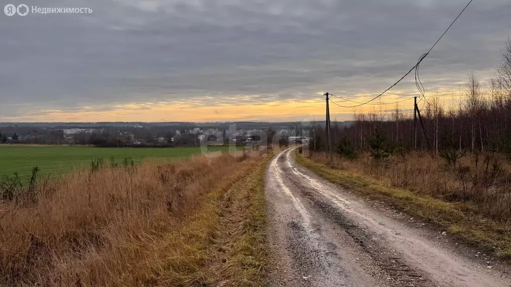 Участок в село Запрудное, Счастливая улица (78.16 м) - Фото 1