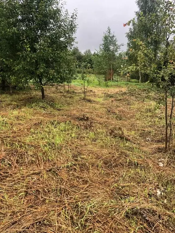 Участок в Москва с. Сальково,  (10.0 сот.) - Фото 0