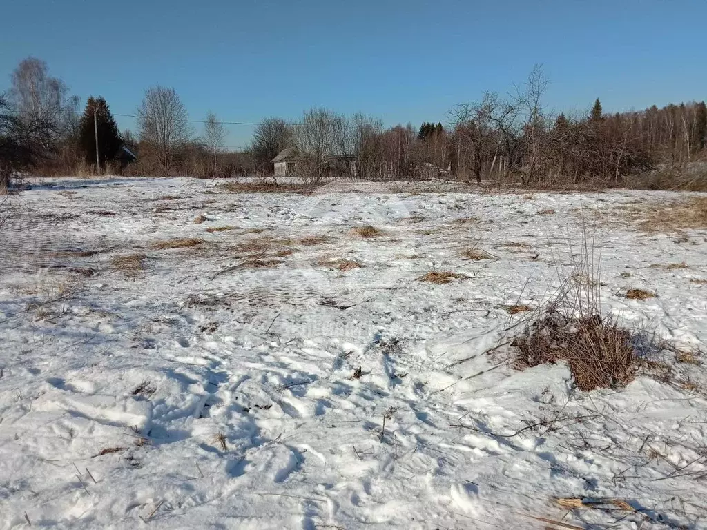 Участок в Московская область, Солнечногорск городской округ, д. ... - Фото 2