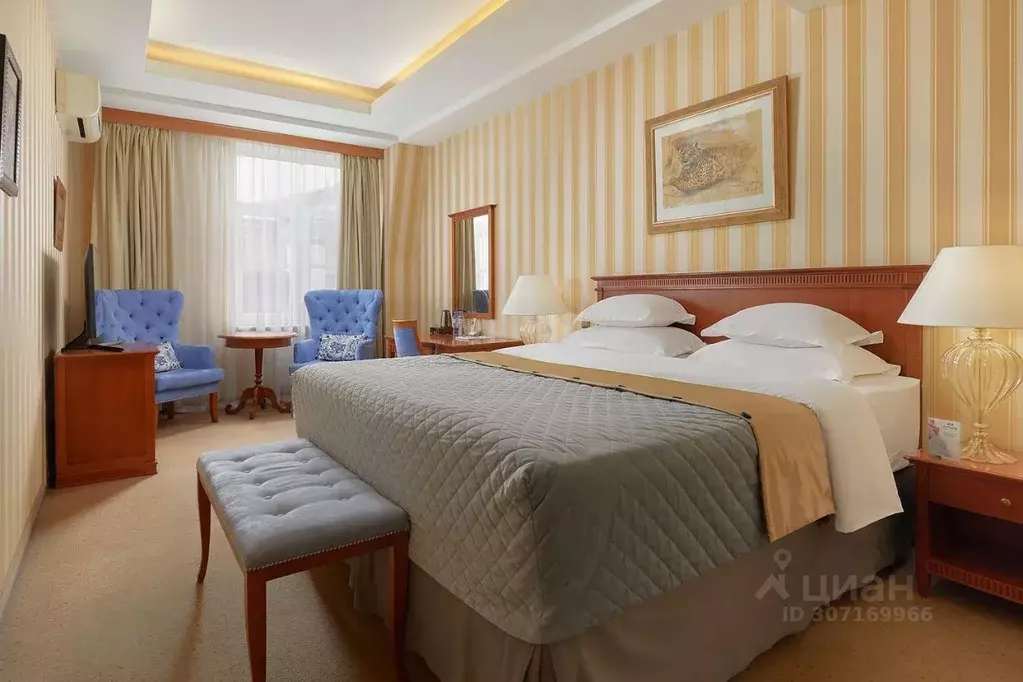 Комната Санкт-Петербург Владимирский просп., 9 (21.0 м) - Фото 2