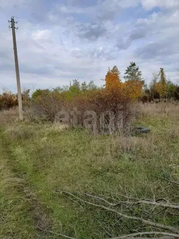 Участок в Ростовская область, Азовский район, Новоалександровское ... - Фото 0