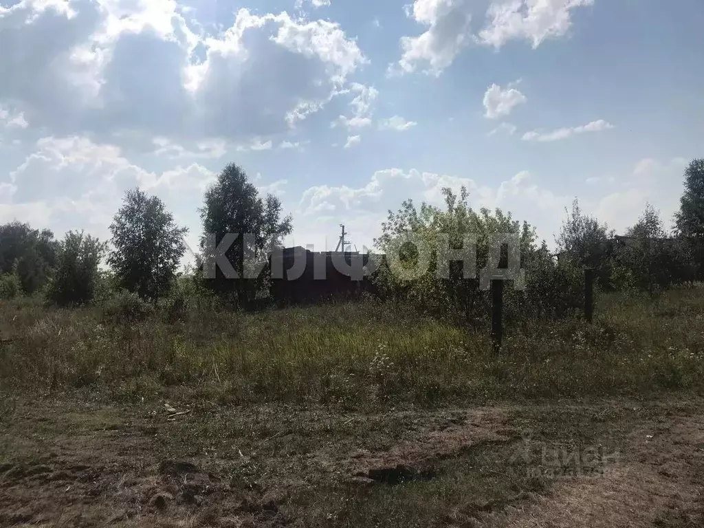 Участок в Новосибирская область, Ордынский район, д. Абрашино ... - Фото 2