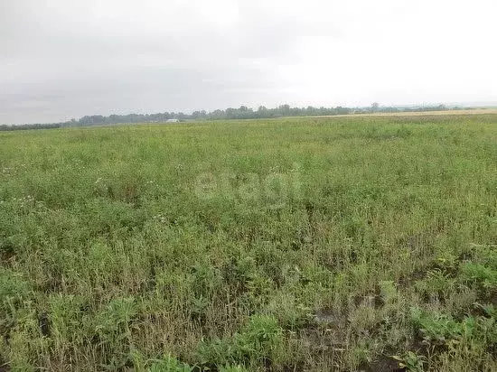 Участок в Мордовия, Саранск  (10.0 сот.) - Фото 2