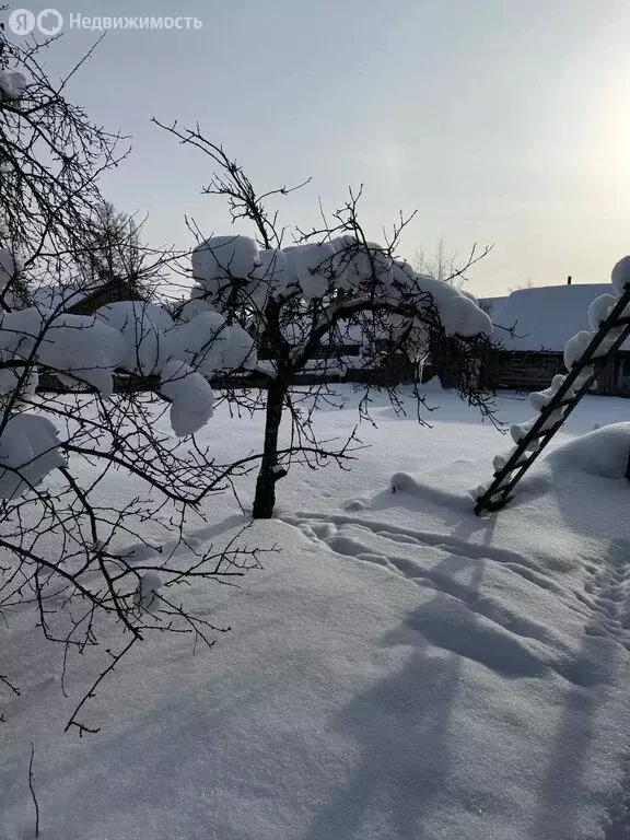 Дом в Чудово, Борнвильский переулок, 4 (51.6 м) - Фото 1