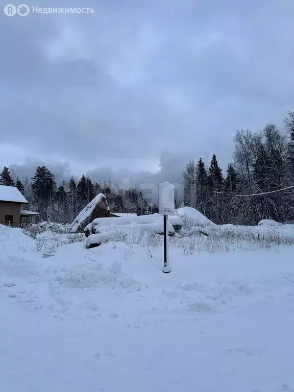 Участок в Выборгский район, Приморское городское поселение, коттеджный ... - Фото 2