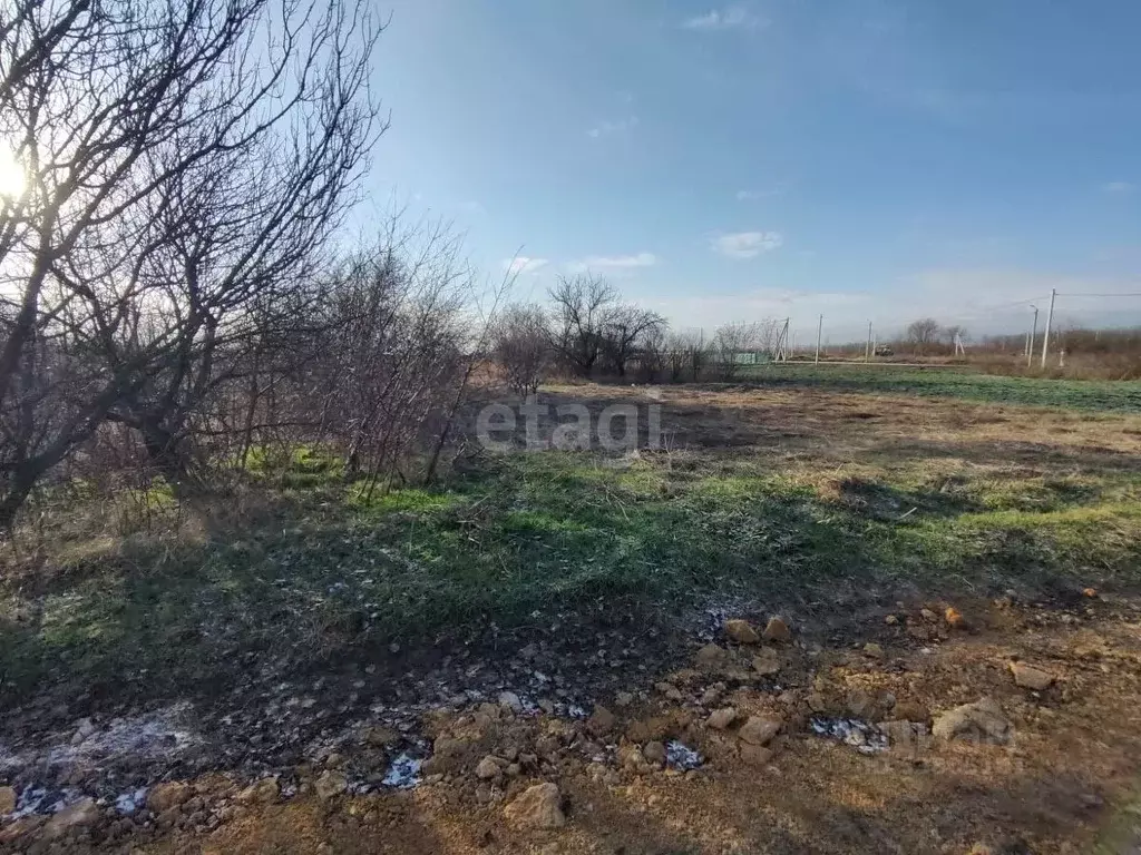 Участок в Ростовская область, Родионово-Несветайский район, ... - Фото 1