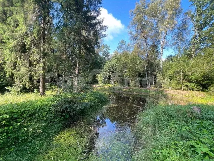 Участок в Московская область, Истра городской округ, Оздоровительного ... - Фото 1