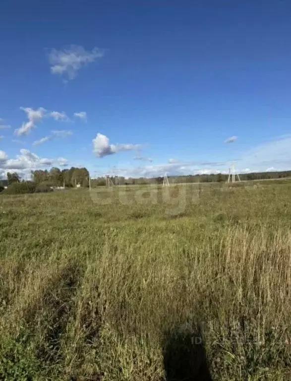 Участок в Калужская область, Ферзиковский муниципальный округ, Красный ... - Фото 2