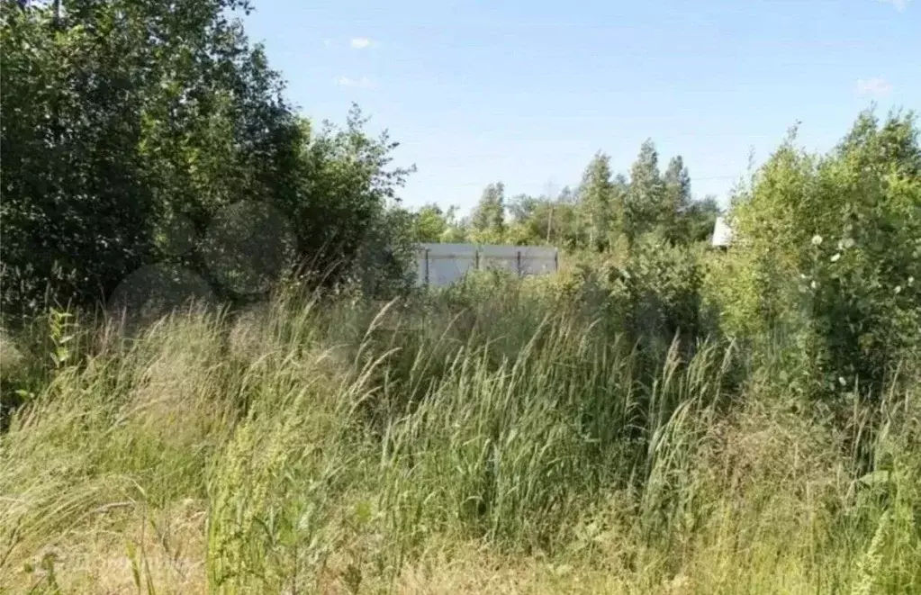 Участок в Самарская область, Кинель городской округ, Усть-Кинельский ... - Фото 2