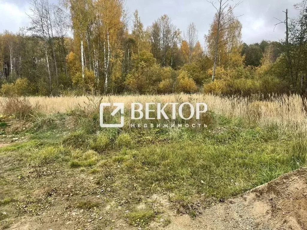 Участок в Костромская область, Красносельский район, Боровиковское ... - Фото 2