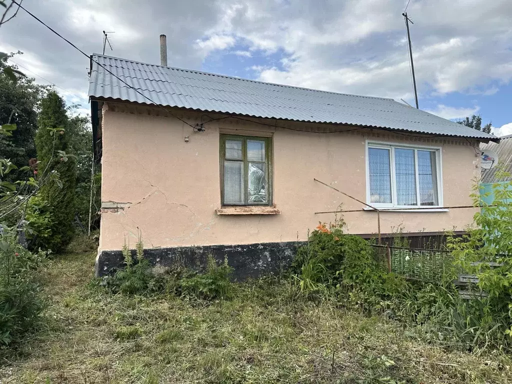 Дом в Липецкая область, Липецкий муниципальный округ, с. Боринское ул. ... - Фото 1