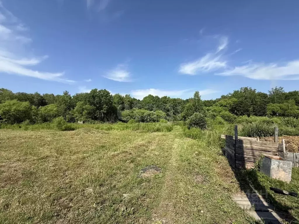 Участок в Хабаровский край, Хабаровск Урожай садовое товарищество, 219 ... - Фото 2