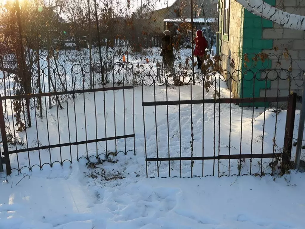 Дом в Омская область, Омск Содружество-2 СОСН, аллея 5-я (30 м) - Фото 1
