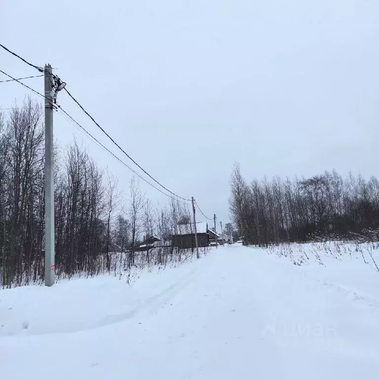 Участок в Костромская область, Красносельский район, Шолоховское ... - Фото 1