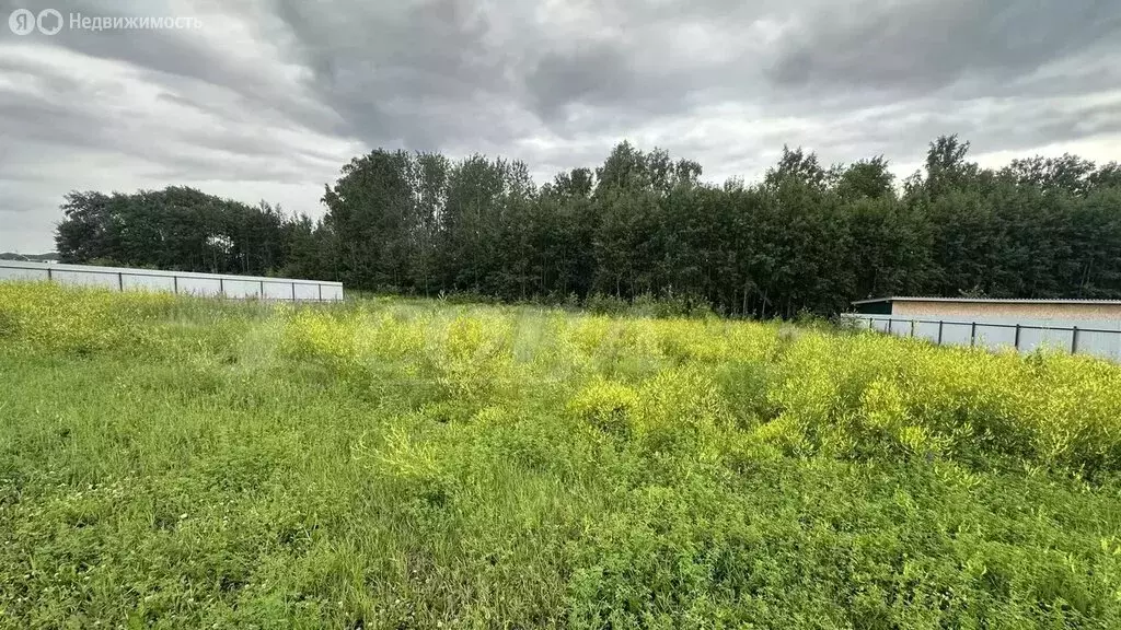 Участок в село Кулаково, КП Зелёные холмы (17 м) - Фото 1