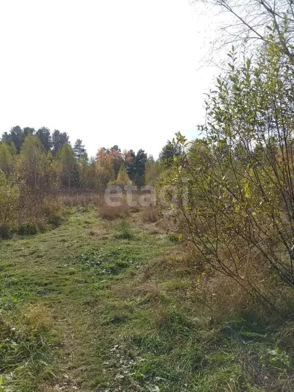 Участок в село Николо-Павловское, Александровская улица (17 м) - Фото 0