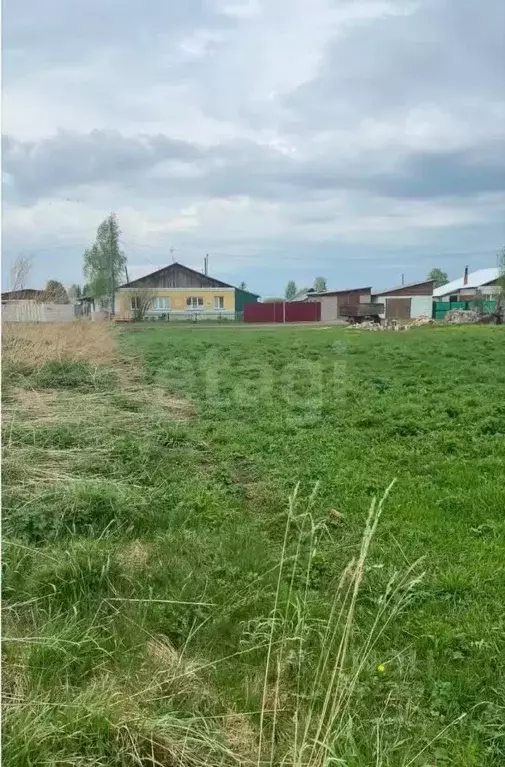 Участок в Новосибирская область, Искитимский район, Совхозный ... - Фото 2