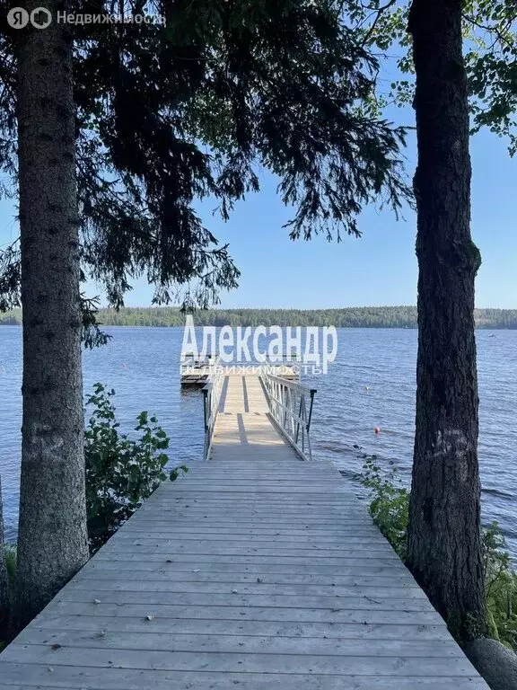 Участок в Выборгский район, Приморское городское поселение, коттеджный ... - Фото 2