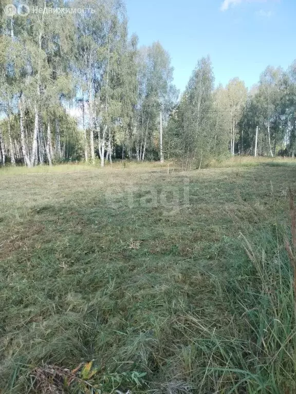 Участок в Петушинский район, муниципальное образование Пекшинское (20 ... - Фото 0