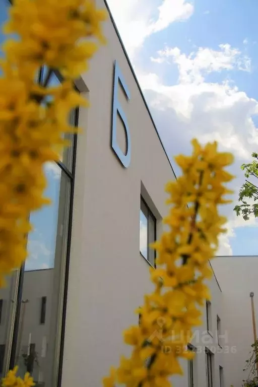 Офис в Саратовская область, Саратов ул. Имени Н.Г. Чернышевского, ... - Фото 2